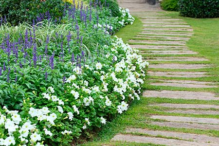 landscape of floral gardening with pathway in garden