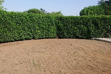 Gazon-plaque-roulea-Montélier-préparation-sol-terrain-terre