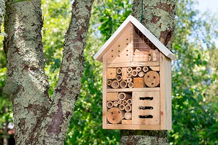 Insect house in a summer garden Hotel for insects