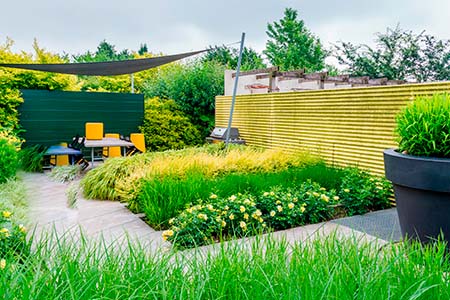 Garden with a green wall