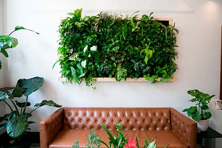 Floating plants on wall over brown leather couch, vertical garde