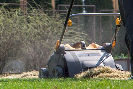 Gardener Operating Soil Aeration Machine on Grass Lawn