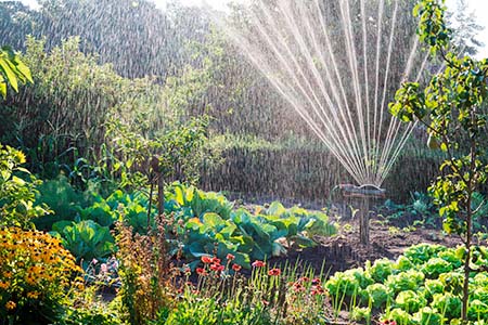 Bewässerung im Schrebergarten - Gegenlicht