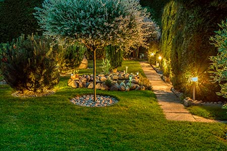 Garden illuminated by lamps