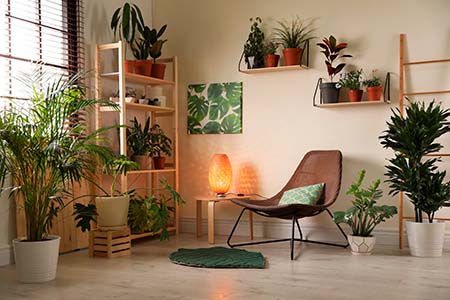 Stylish living room interior with home plants and lounge chair
